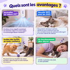 AirMinou Pure